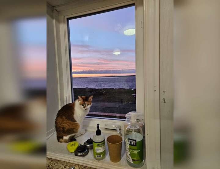 Mertarvik, Alaska, United States