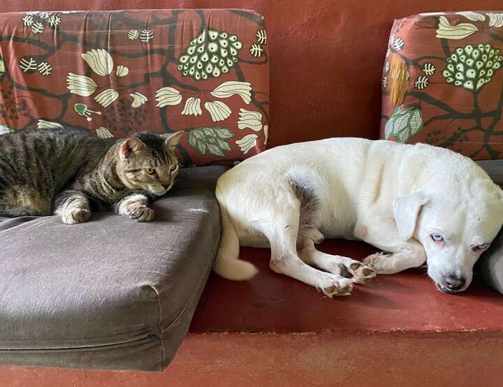 Provincia de Puntarenas, Costa Rica