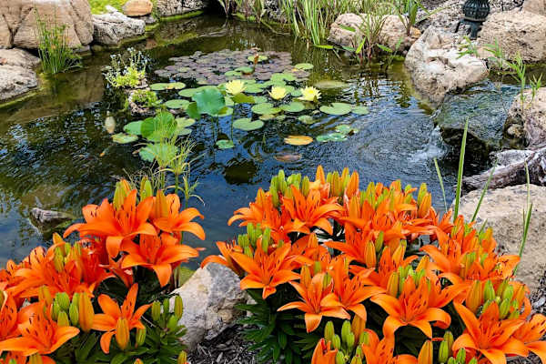 Lawrence, Kansas, United States