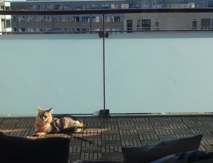 Copenhagen Municipality, Capital Region of Denmark, Denmark