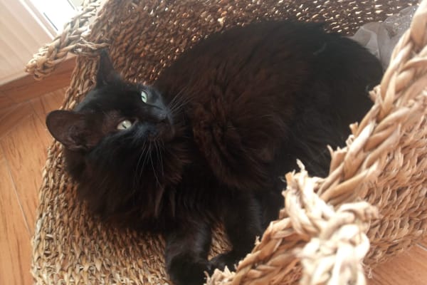 Thessaloníki, Central Macedonia, Greece