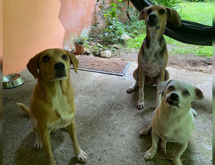 Provincia de Puntarenas, Costa Rica