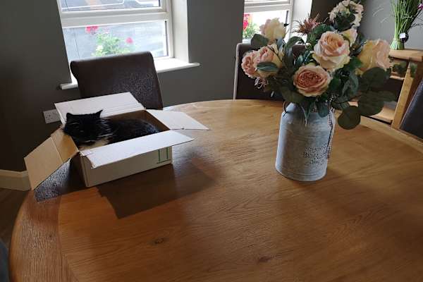 Newry, Northern Ireland, United Kingdom