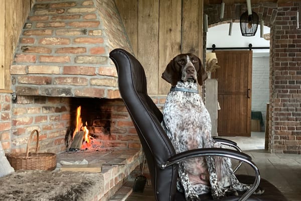 Imbramowice, Lower Silesian Voivodeship, Poland