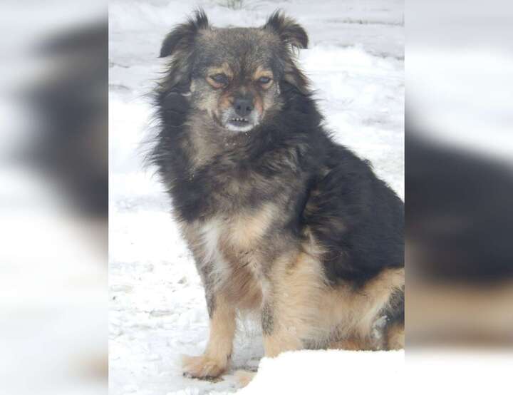 Podlužan, Zagrebačka županija, Croatia