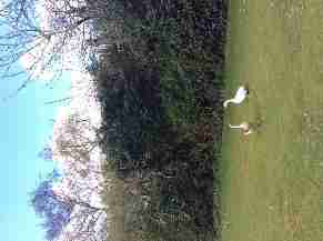 Runcorn, Halton, Liverpool (17miles ), Cheshire, North West England