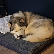 Royal Hillsborough, Northern Ireland, UK