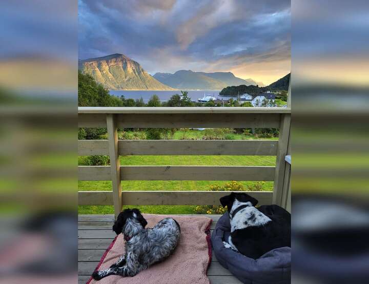 Sula, Møre og Romsdal, Norway