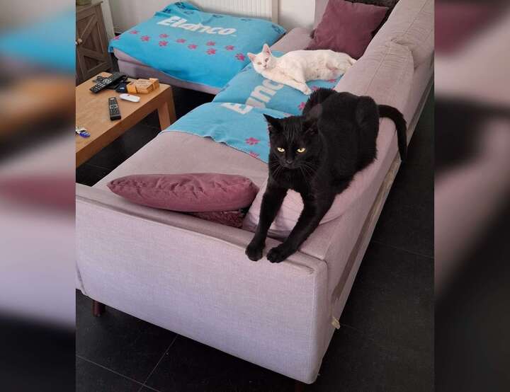 Borgerhout, Antwerpen, Vlaanderen, Belgium