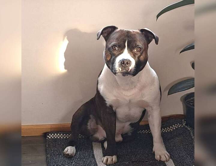 Magallanes y la Antártica Chilena, Chile