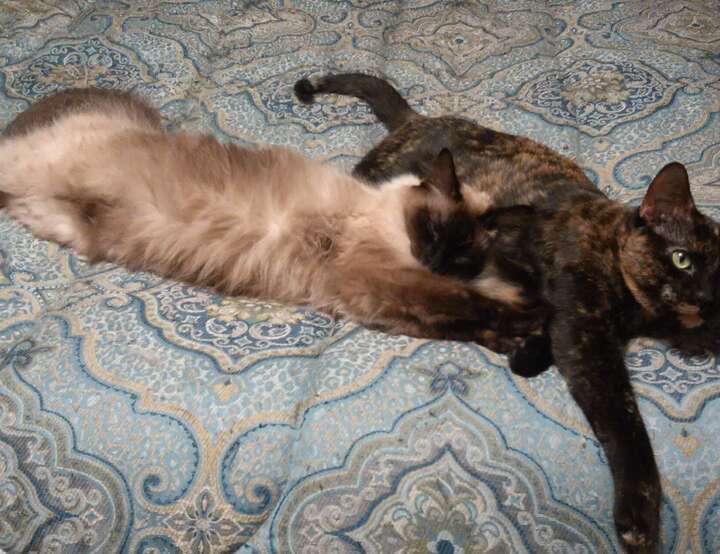 Natchez, Mississippi, United States