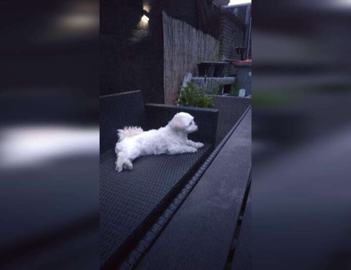 Mellet, Les Bons Villers, Région wallonne, Belgium