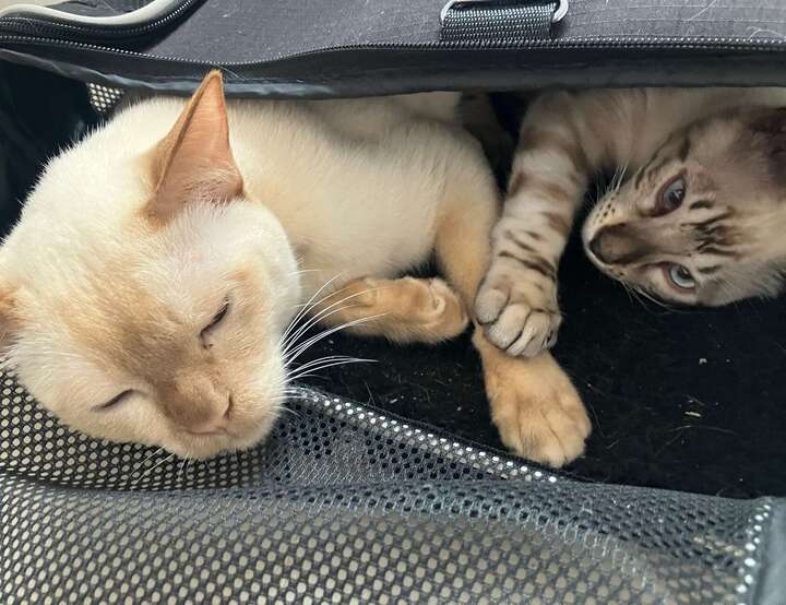 Centro, Paraná, Brazil