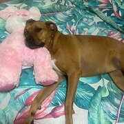 Wulagi, Northern Territory, Australia