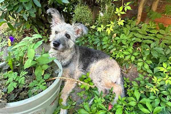 Singapore, Central Singapore, Singapore