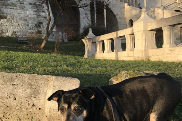 Budapest, Budapest, Hungary