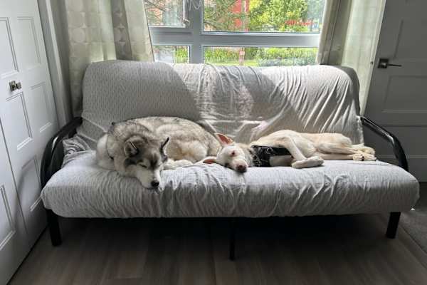 Longueuil, Quebec, Canada