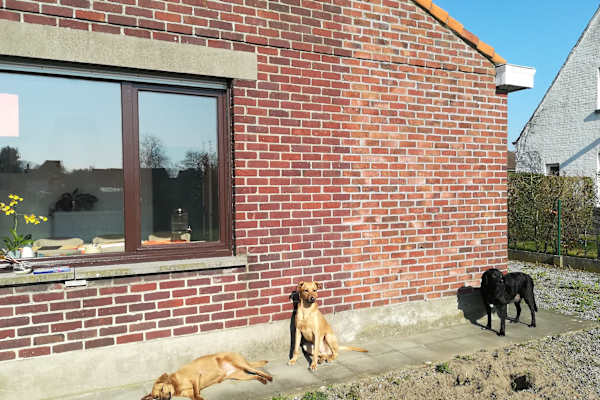 Gent, Flanders, Belgium