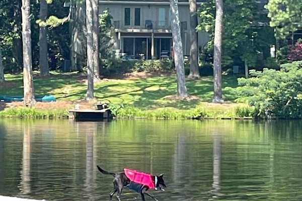 Tuscaloosa, Alabama, United States