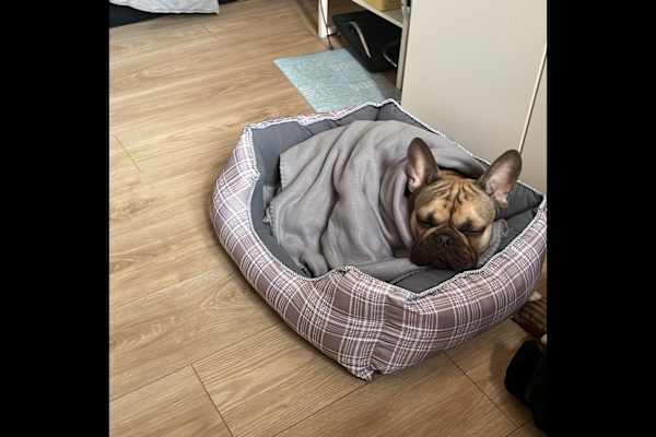 Sundsvall, Vaesternorrland, Sweden