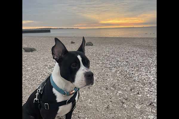 West Haven, Connecticut, United States