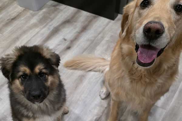 Saskatoon, Saskatchewan, Canada