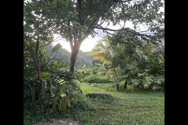 Maricao, Maricao, Puerto Rico