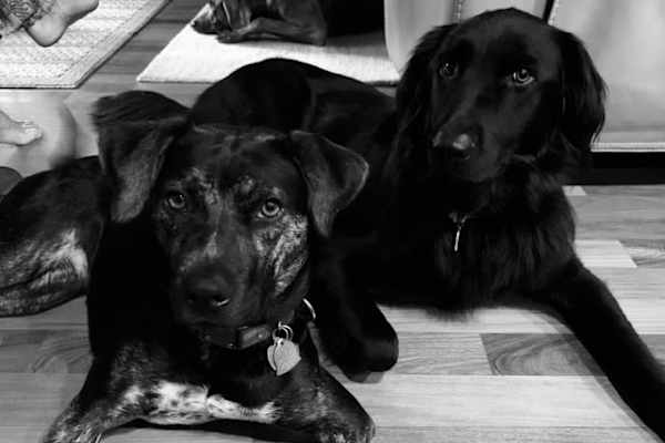 Granger, Indiana, United States