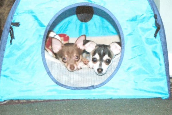 Stratford, Prince Edward Island, Canada