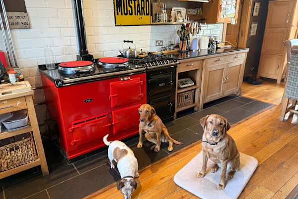 Newtownards, Northern Ireland, United Kingdom