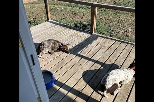 Newcastle, Wyoming, United States