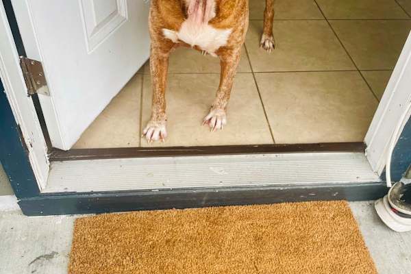 Kurtistown, Hawaii, United States