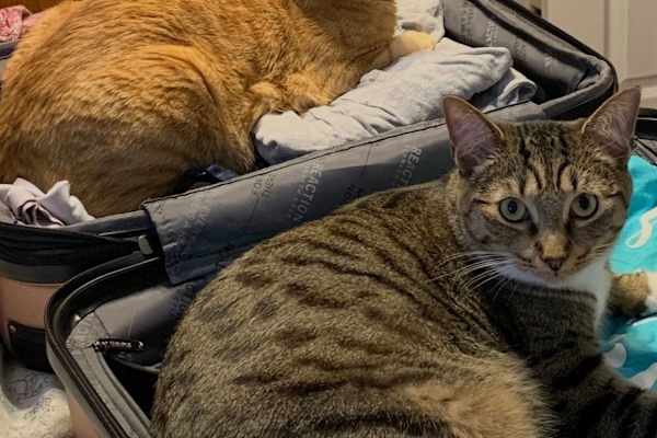 Billings, Montana, United States