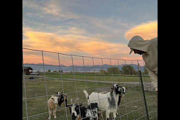 Bozeman, Montana, United States