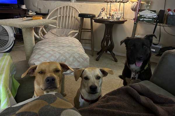 Blanchardville, Wisconsin, United States