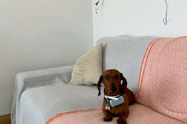 Lisbon, Lisbon, Portugal