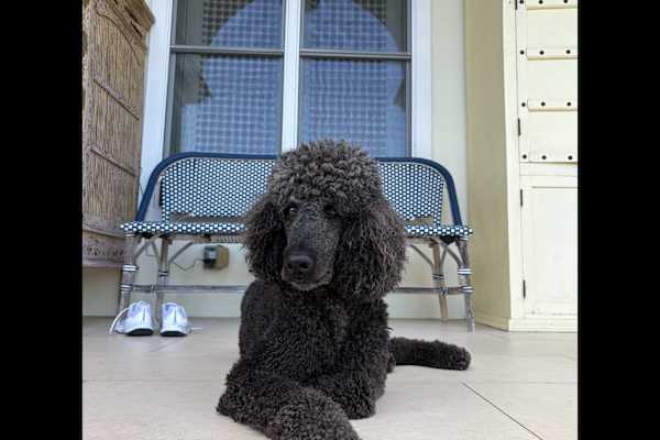 Honolulu, Hawaii, United States