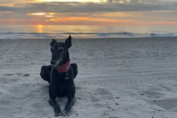 Mount Pleasant, South Carolina, United States