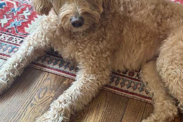 Ann Arbor, Michigan, United States