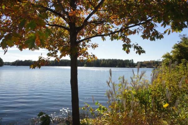 Minocqua, Wisconsin, United States