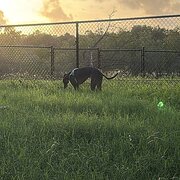 Bayview, Northern Territory, Australia
