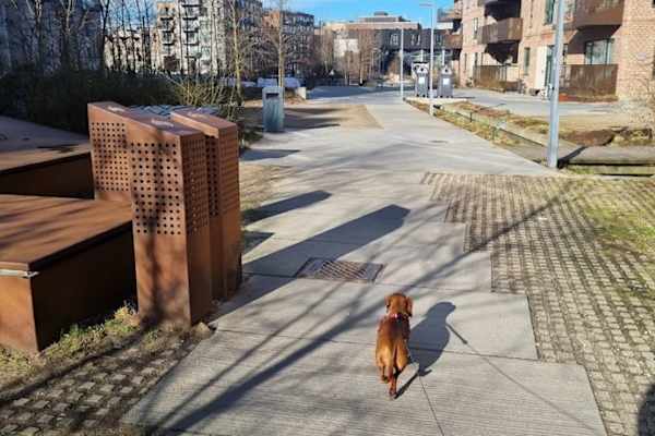 Copenhagen, Capital Region, Denmark