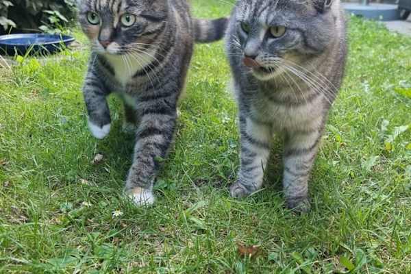 Århus, Central Jutland, Denmark