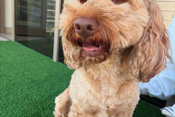 Dubai, Dubai, United Arab Emirates