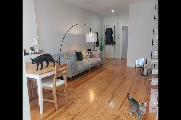 Lisbon, Lisbon, Portugal