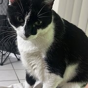 Gunn, Northern Territory, Australia