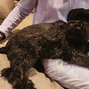 Giralang, Australian Capital Territory, Australia