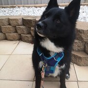 O'halloran Hill, South Australia, Australia