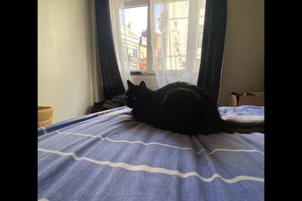 Brussels, Brussels Capital, Belgium