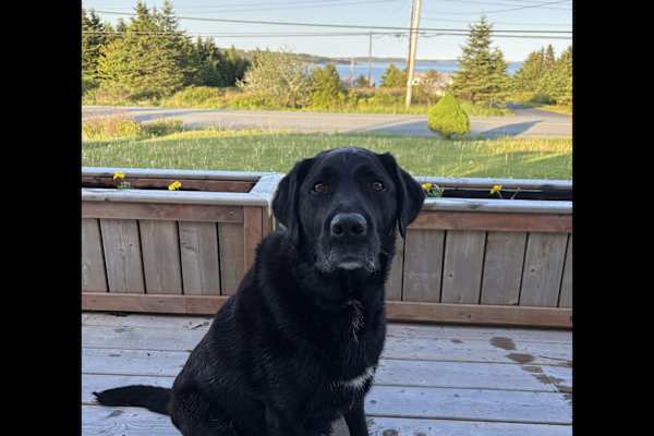 Eastern Passage, Nova Scotia, Canada